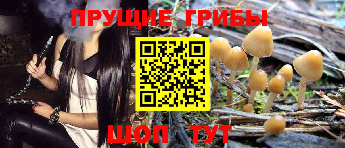 Галлюциногенные грибы Magic Shrooms Севастополь
