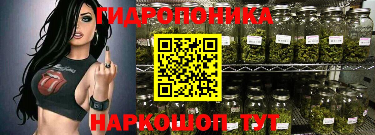 Шишки марихуана сатива Севастополь